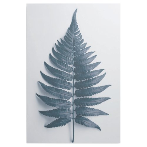 Tranquil Fern Elegance Natures Serenity Decor