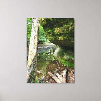 Tranquil Forest Canvas Print | Real Landscape