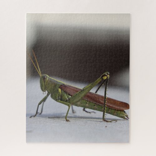 Tranquil Hopper Jigsaw Puzzle
