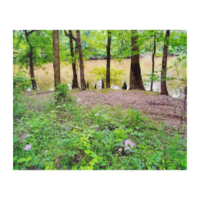 Tranquil Lakeside with Wildflowers Acrylic Print (Front)