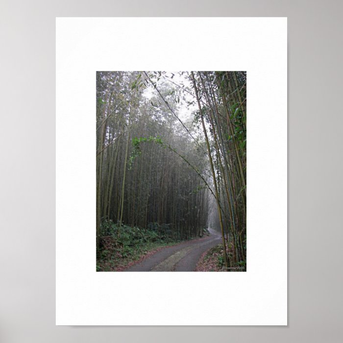 Tranquil Mind Bamboo Trail Zen/Tao Print