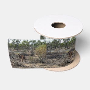 Tranquil Moment: Australian Kangaroo at Billabong Satin Ribbon