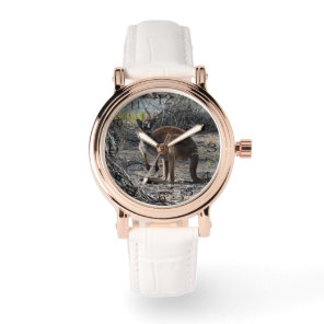 Tranquil Moment: Australian Kangaroo at Billabong Watch