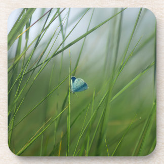 Tranquil Nature Scene Blue Butterfly Hard Plastic Beverage Coaster