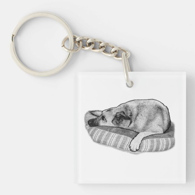 Tranquil Paws, Retro Carry Fob Keychain (Front)