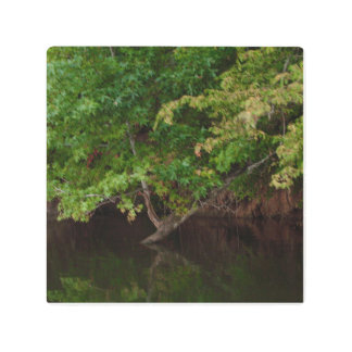 Tranquil Riverside Tree Scene Metal Print
