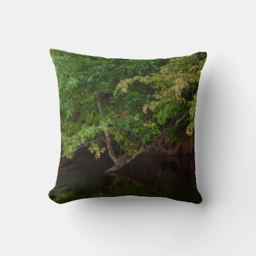 Tranquil Riverside Tree Scene Throw Pillow