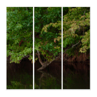 Tranquil Riverside Tree Scene Triptych