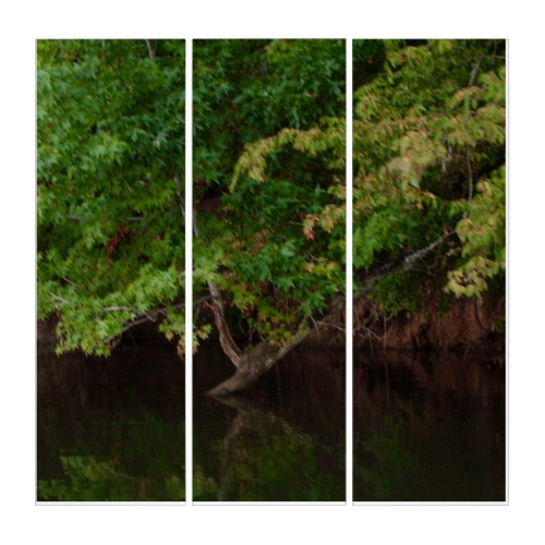 Tranquil Riverside Tree Scene Triptych