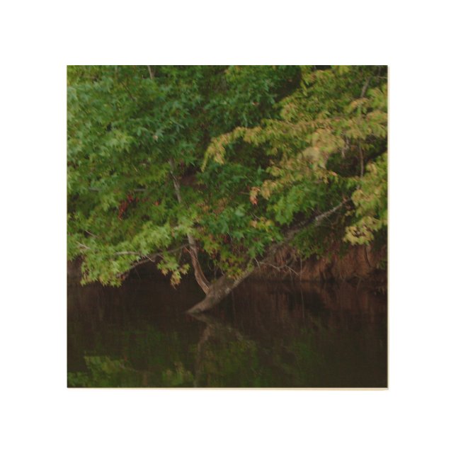 Tranquil Riverside Tree Scene Wood Wall Art (Front)