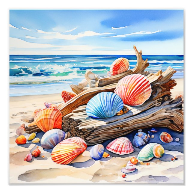 Tranquil Seascape: Driftwood and Seashells Photo Print (Front)