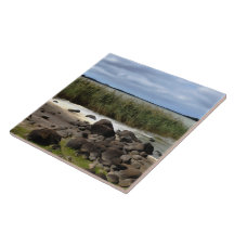 Tranquil Shores of Lake Bolac