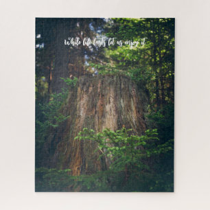 Tranquil summer forest jigsaw puzzle