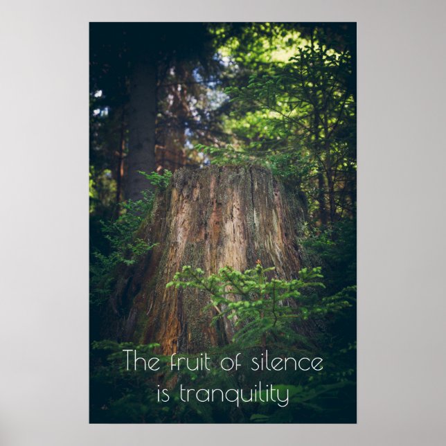 Tranquil summer forest  poster (Front)