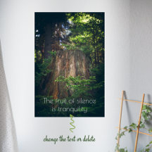 Tranquil summer forest