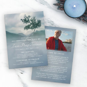 Tranquil Tree Announcement Life Celebration Photo