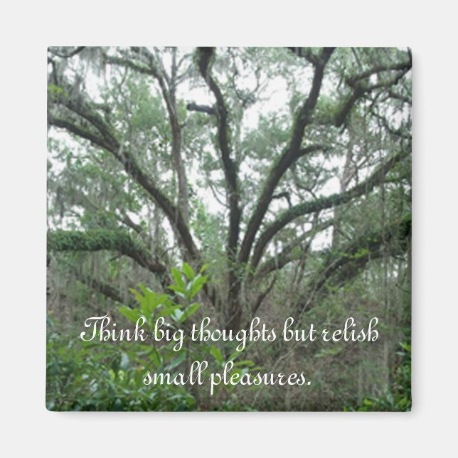 Tranquil Tree Magnet (Front)