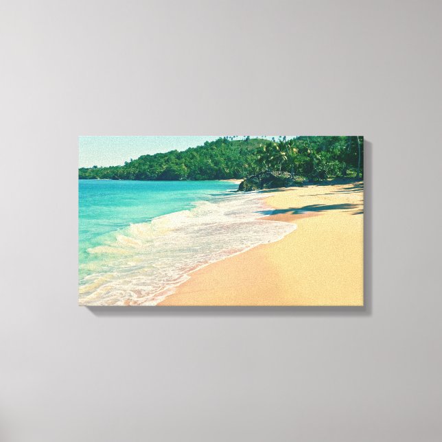 Tranquil Tropical Island Beach Canvas Print (Front)