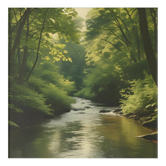 "Tranquil Vintage Forest Stream - Premium Nature W Acrylic Print