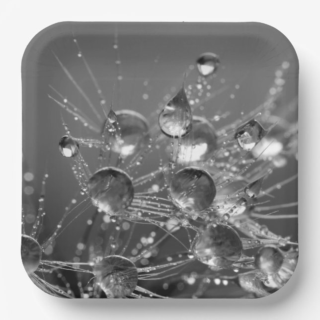 Tranquil Water Droplets Plates (Front)