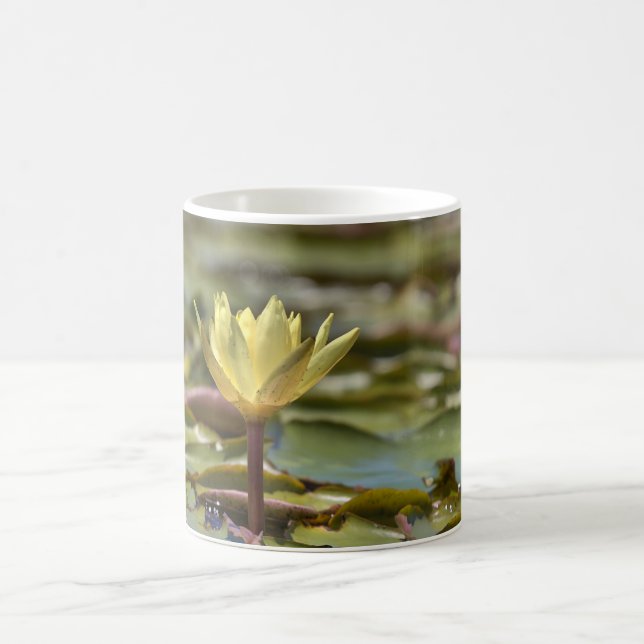 Tranquil Water Lily Coffee Mug – Nature Photograph (Center)