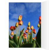 Tranquility (Inside (Left))