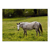 Tranquility (Front Horizontal)