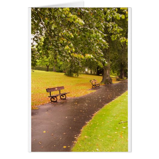 TRANQUILITY CARDS (Front)