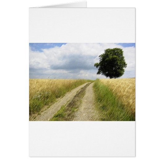 TRANQUILITY CARDS (Front)