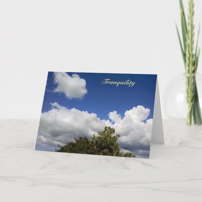 Tranquility florida clouds Greeting Card (Front)