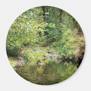 Tranquility in the woods...... magnet