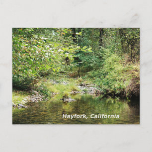 Tranquility in the woods....... postcard