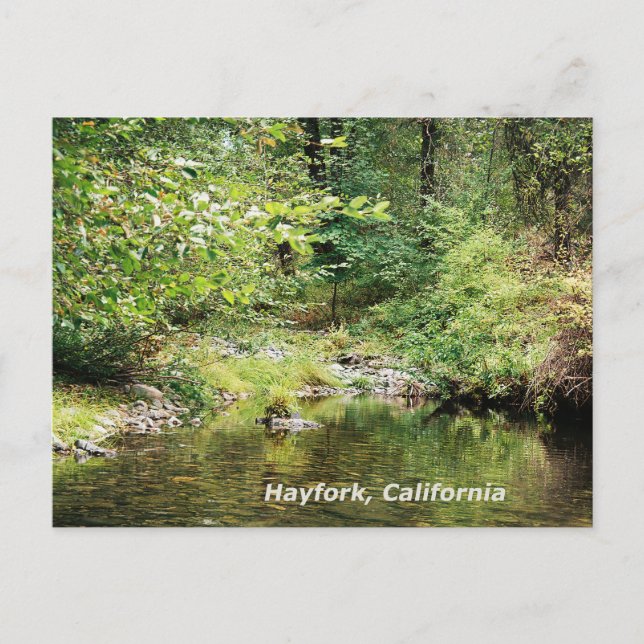 Tranquility in the woods....... postcard (Front)