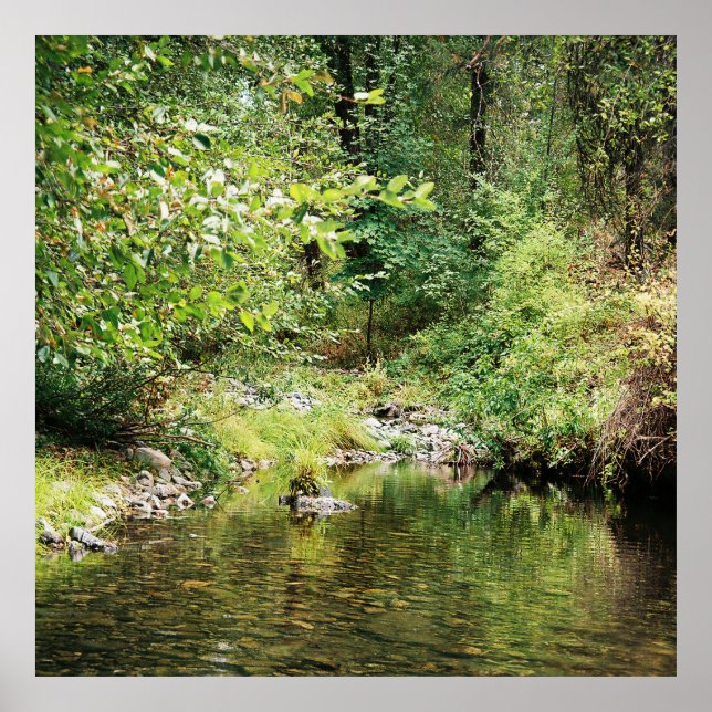 Tranquility in the woods...... poster (Front)