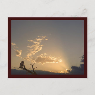 Tranquility Postcard
