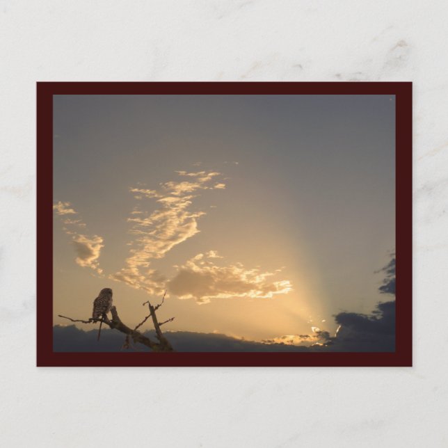 Tranquility Postcard (Front)