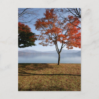 Tranquility Postcard