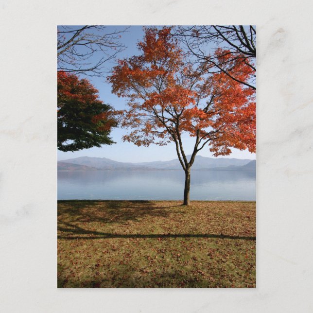 Tranquility Postcard (Front)