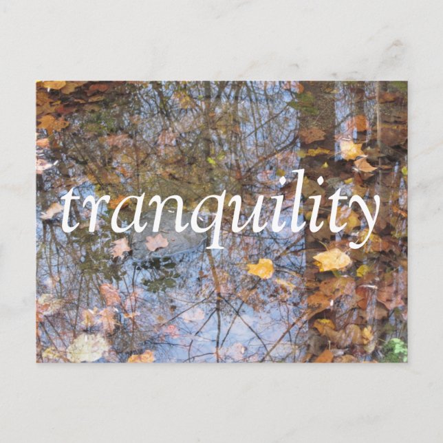 Tranquility Postcard (Front)