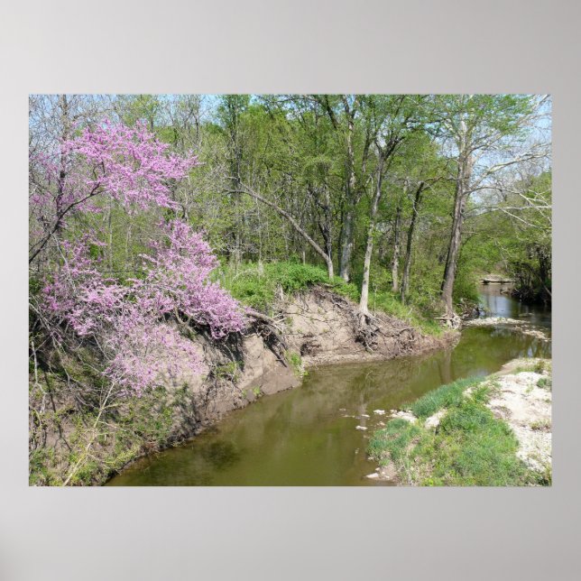 Tranquility Poster (Front)