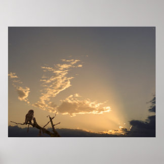 Tranquility Poster
