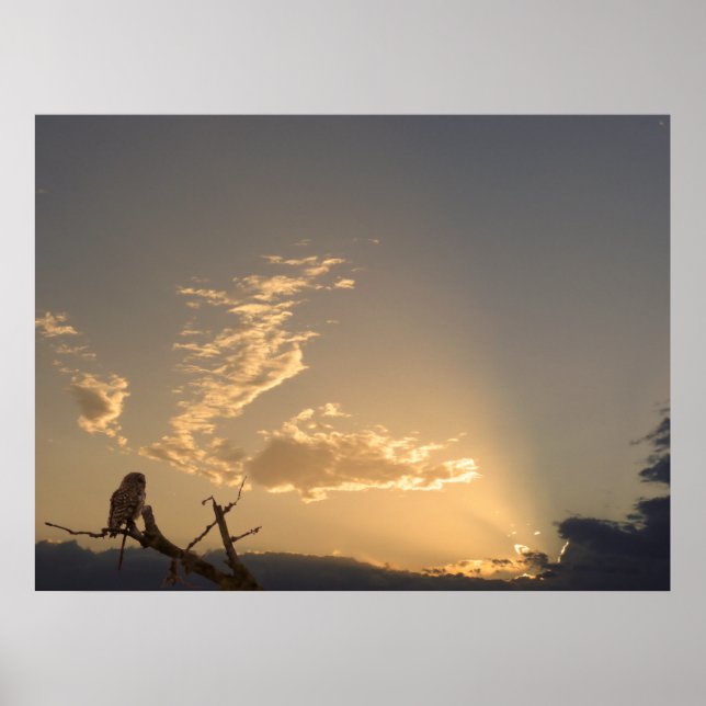 Tranquility Poster (Front)