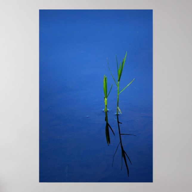 Tranquility Poster (Front)