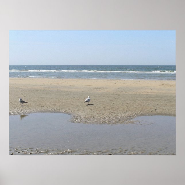 Tranquility Poster (Front)