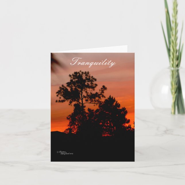 Tranquility sunset Pine trees Note Card (Front)