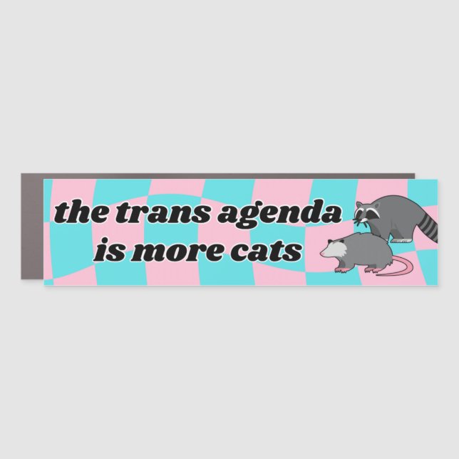 Trans Agenda Car Magnet (Front)
