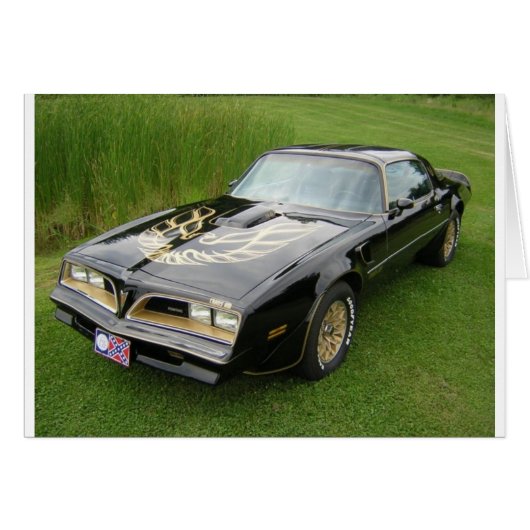 trans am cards (Front Horizontal)
