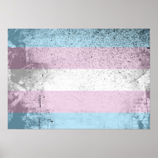 TRANS FLAG ORIGINAL -.png Poster