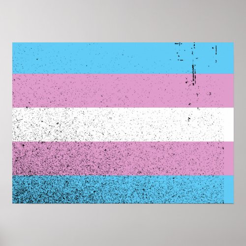 TRANS FLAG ORIGINAL _png Poster