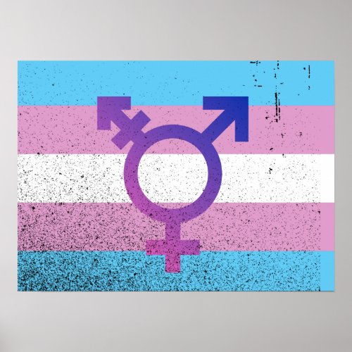 TRANS FLAG ORIGINAL WITH SYMBOL _png Poster